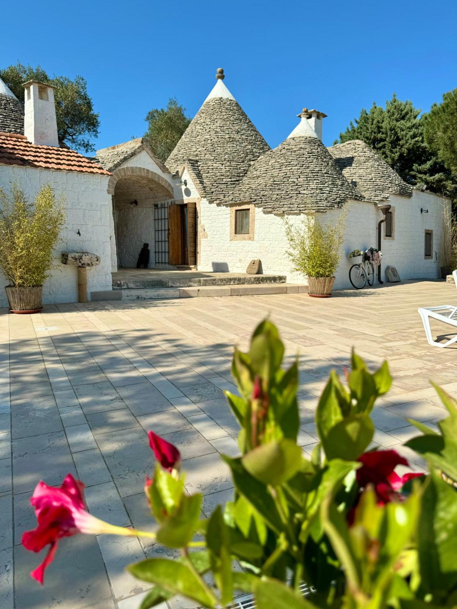 アルベロベッロTrulli Bosco Selvaアパートメント エクステリア 写真